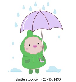 cute pig cartoon isolated on white background Vector illustration, cute pig wear raincoat holding umbrella with raining.