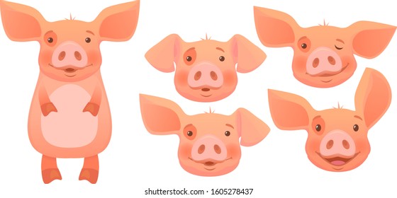 Cute pig cartoon isolated set. Vector illustration