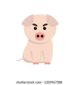 cute pig cartoon on white background
