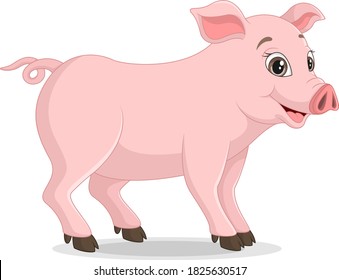 Cute pig cartoon on white background