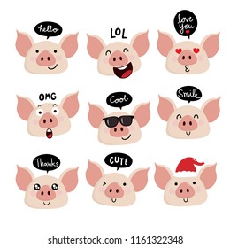 Cute pig character with bubble speech vector. Head of piggy.