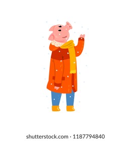 Cute pig character dressed in warm bright clothes enjoying the falling snow, Chinese symbol of New Year, design element for Christmas card, calendar, invitation vector Illustration