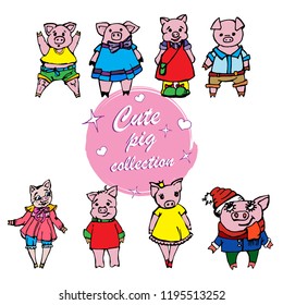 Cute pig in color, symbol 2019, print, vector illustration, icon, calendar, t-shirt print, calendar design.