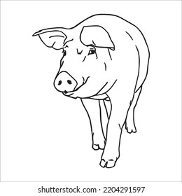 Cute Pig With coloring book pages picture,Pig line art,Pig outline drawing vector illustration,vector art