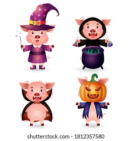 cute pig with costume halloween character collection