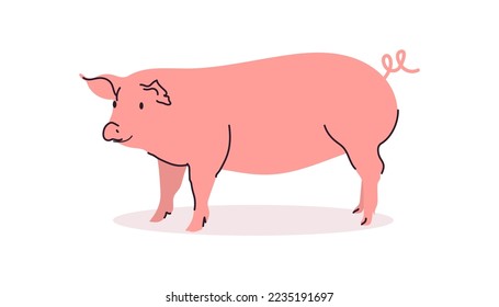 Cute pig and funny cartoon animal concept flat vector illustration.