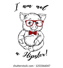 Cute pig in glasses and tie. Vector illustration for postcard or poster, print for clothes. Hipster.