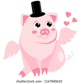 Cute pig in the hat