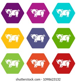 Cute pig icons 9 set coloful isolated on white for web