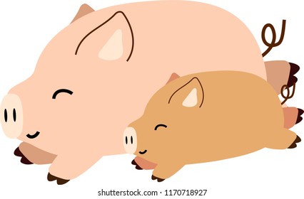 Cute Pig illustration