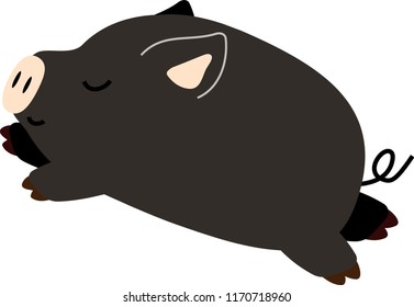 Cute Pig illustration
