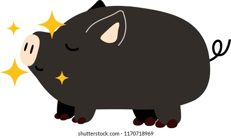 Cute Pig illustration