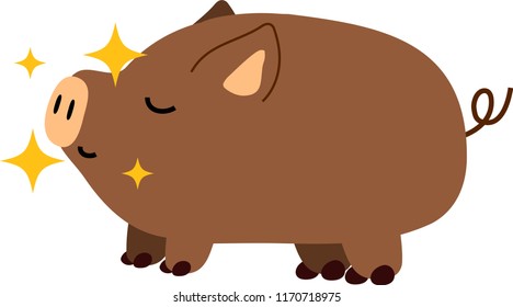 Cute Pig illustration