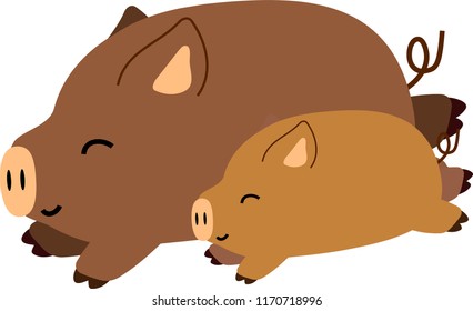 Cute Pig illustration