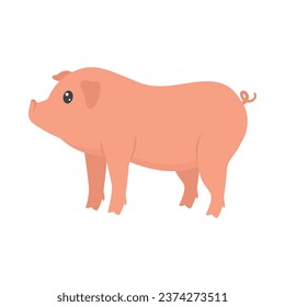 cute pig illustration vector isolated