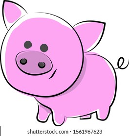 Cute pig, illustration, vector on white background.