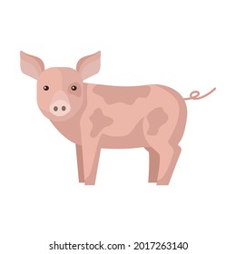 Cute pig isolated on white background. Funny cartoon character farm pink color. Flat animal for any purposes design. Vector illustration.