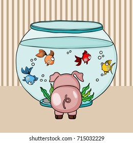 Cute pig looking for globe aquarium with little fishes
