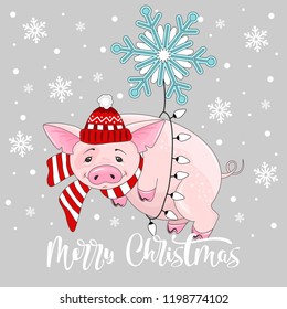 Cute pig on Christmas and new year background. Vector illustration.