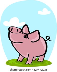 cute pig on grass