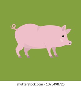 Cute pig on green background. Vector illustration.