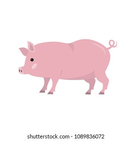 Cute pig on white background. Vector illustration.