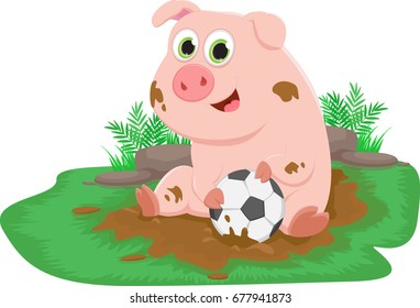 cute pig play ball in a mud puddle. Farm life