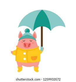 cute pig in a rain coat and boots holding an umbrella. cute character isolated on white. hello autumn. - vector illustration