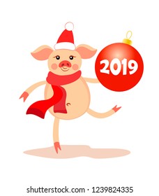A cute pig in a Santa hat with a scarf holding a Christmas ball with the inscription 2019