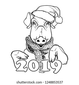 Cute pig in a Santa hat and scarf holding 2019 sign. Mascot of the New Year 2019 according to Chinese zodiac calendar. Linear black drawing isolated on white background. EPS10 vector