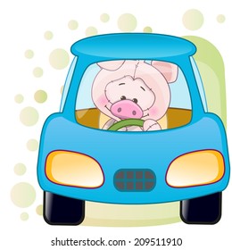 Cute Pig is sitting in a car 