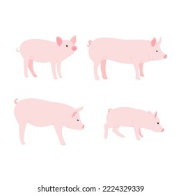 Cute pig, Stock Photos simple Vectors design