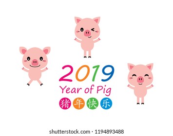 cute pig vector with chinese words of happy year of the pig. happy three pigs vector 2019.