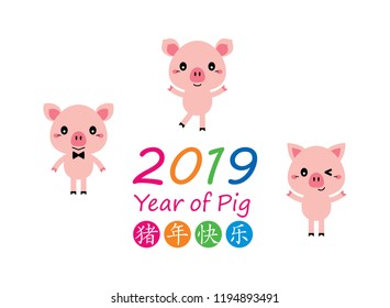 cute pig vector with chinese words of happy year of the pig. happy three pigs vector 2019.