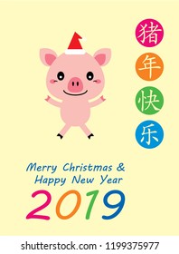 cute pig vector with chinese words of happy year of the pig. cute pig merry christmas and happy new year 2019 greeting card.