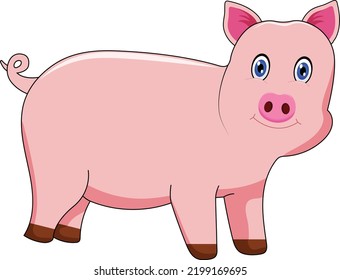 Cute Pig Vector Illustration Graphic