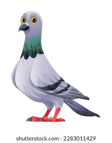 Cute pigeon bird cartoon illustration isolated on white background