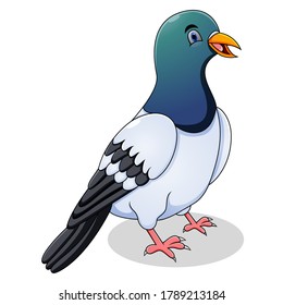 Cute pigeon cartoon on white background