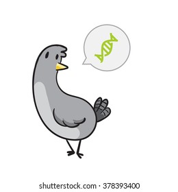 Cute Pigeon vector illustration