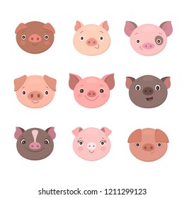 Cute piggies collection. Vector illustration of funny cartoon pigs faces. Isolated on white.