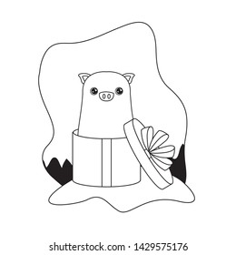 cute piggy animal in gift box