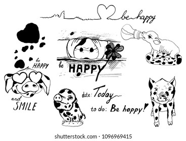Cute piggy. Vector illustration EPS file by layers. Graphics can be used for postcards, posters, invitations, websites and other products.