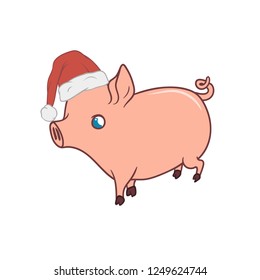 Cute piglet with a Santas hat on, walking