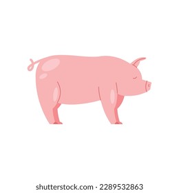 Cute piglet standing over white