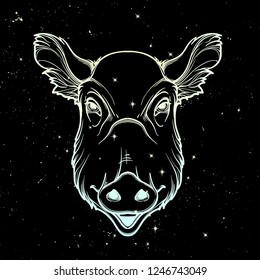 Cute pigs head. Mascot of the New Year 2019 according to Chinese zodiac calendar. Linear drawing isolated on black starry night textured background. EPS10 vector illustration