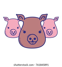 cute pigs heads wilds animals vector illustration