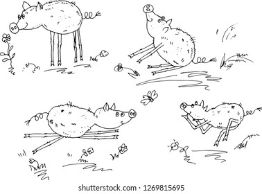 Cute pigs. Vector illustration.