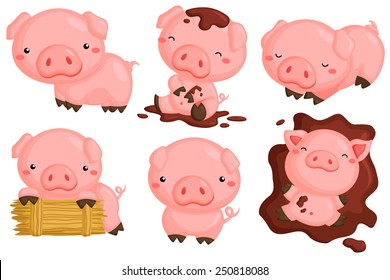 Cute Pigs Vector Set