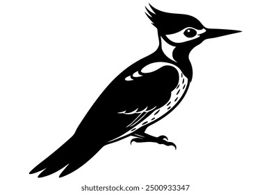 Cute Pileated Woodpecker Eating Fish on Vector Illustration