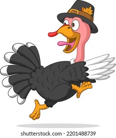 Cute Pilgrim Turkey Bird Running